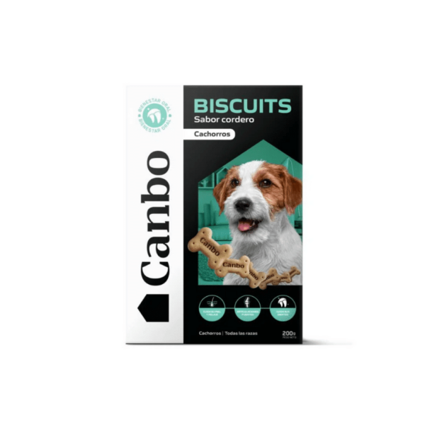 Biscuit - Snack Galleta